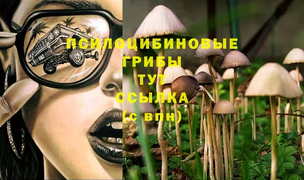 соль ск Нягань
