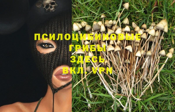гашиш Няндома