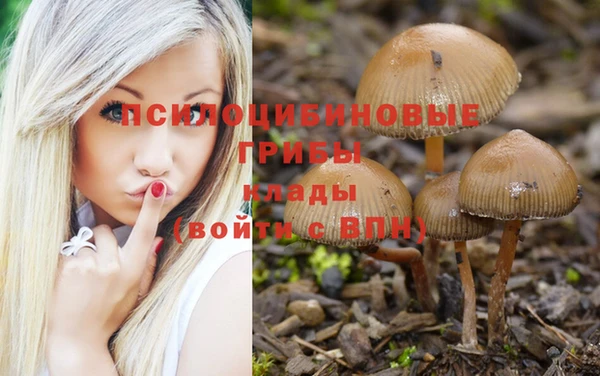 гашиш Няндома