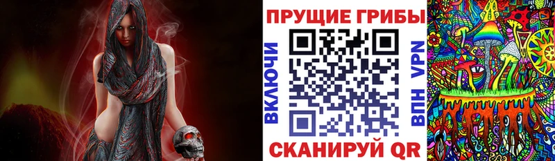 закладки  Чулым  Псилоцибиновые грибы Cubensis 