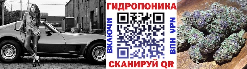 hydra онион  магазин  наркотиков  Чулым  Канабис семена 